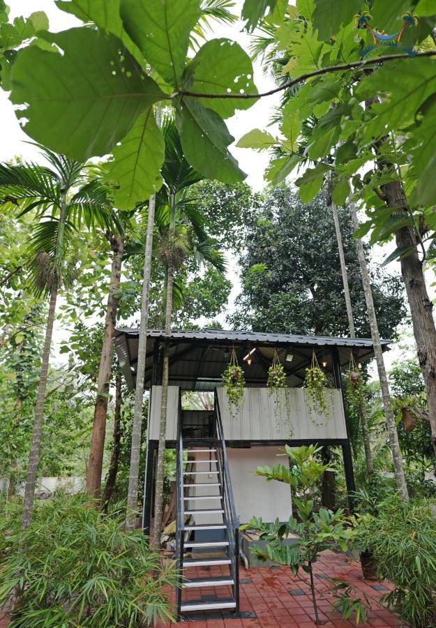 Serenity Villa And Treehouse Palakkad Exterior photo